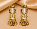 Royal Owl Anti Tarnish Jhumka Earrings